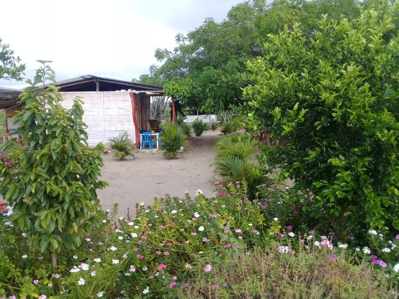 Pachingo La Primavera Villavieja Zimmer foto